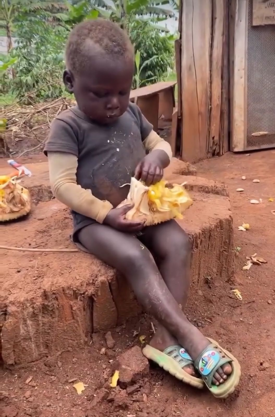 Criança do Projeto Zuzu